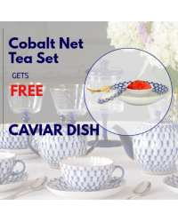  LOMONOSOV IMPERIAL PORCELAIN TEA SET SERVICE TULIP COBALT NET 20 items + FREE Caviar Dish