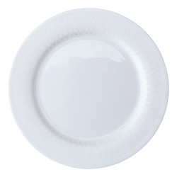 Pearl Net Flat Plate, Standard-2 Shape, 270 mm