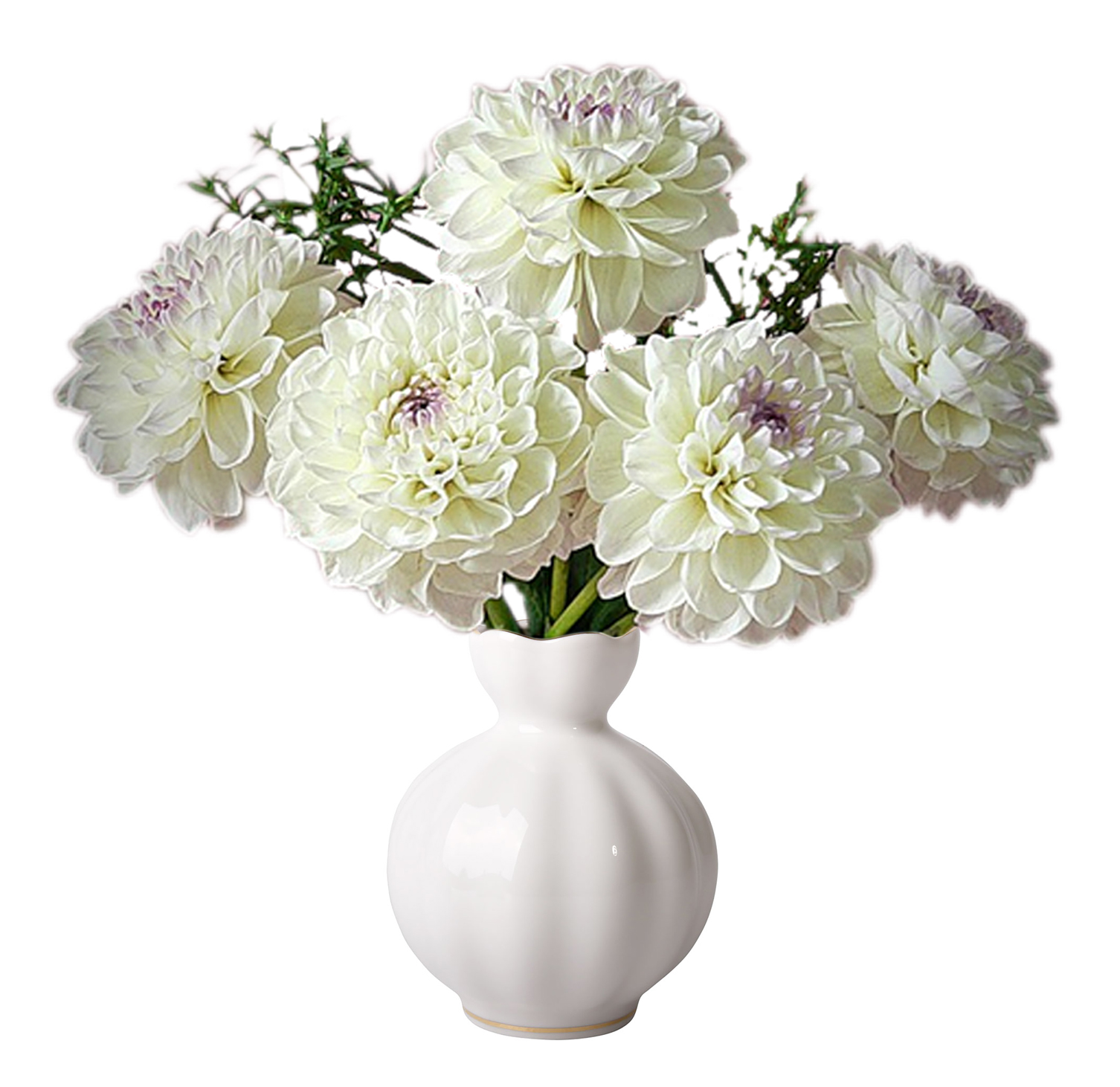 Flower Vase Tulip Snow White Lomonosov Porcelain