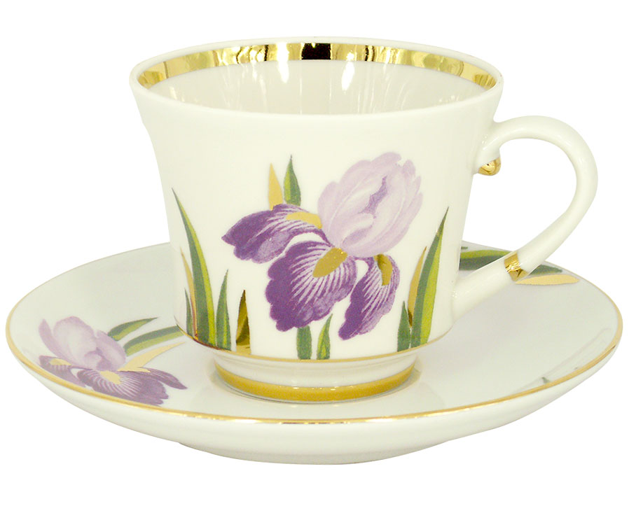 Lomonosov Porcelain Tea Set Cup and Saucer Banquet Iris 7.4 oz/220 ml