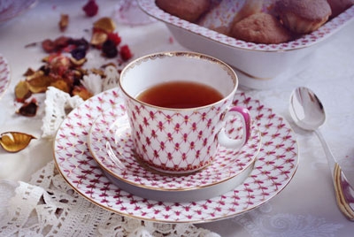 Lomonosov Porcelain Tea Cup Set Youth Red Net Blues 7.1 oz/210 ml