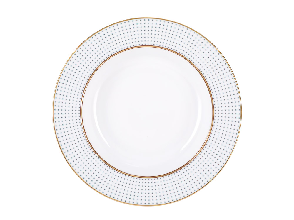 Lomonosov Porcelain Dinner Soup Plate Dublin 8.9"/225 mm